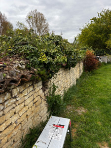 Photo de galerie - Tonte de pelouse - Débroussaillage