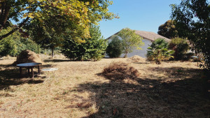 Photo de galerie - Reprise d'un parc délaissé depuis 2 ans... 