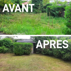 Photo de galerie - Tonte pelouse