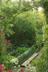 Photo de galerie - Potager permacole dans un jardin de centre ville à Angers