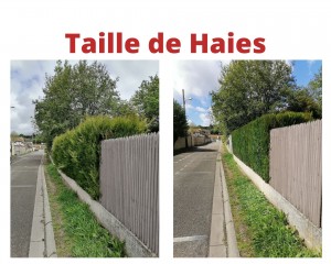 Photo de galerie - Taille de Haies 