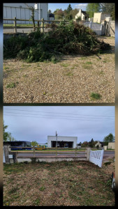 Photo de galerie - Elagage et coupe d'arbres