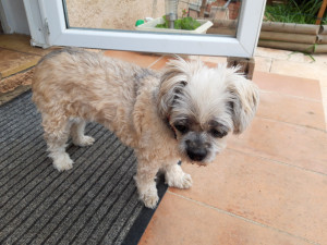 Photo de galerie - Bamboo petite grand mère de 16 ans 1/2