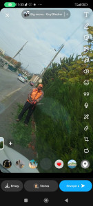 Photo de galerie - Taille de haies et d'arbustes