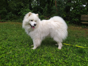 Photo de galerie - Balade autour d'un étang