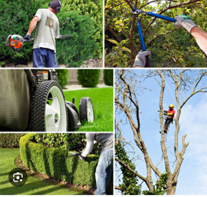 Photo de galerie - Entretien jardin 