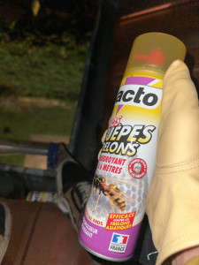 Photo de galerie - Intervention matin midi soir pour vous enlever les guêpes