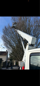 Photo de galerie - élagage 