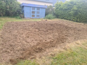 Photo de galerie - Motobineuse