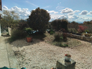 Photo de galerie - Nettoyage massifs après