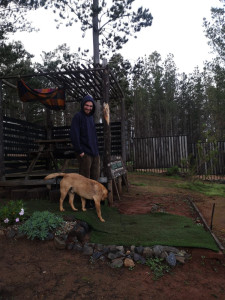 Photo de galerie - Promenade de chien