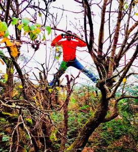 Photo de galerie - Rabattage d’une haie de thuya ??