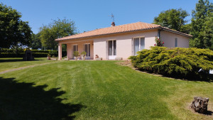 Photo de galerie - Tonte de pelouse - Débroussaillage