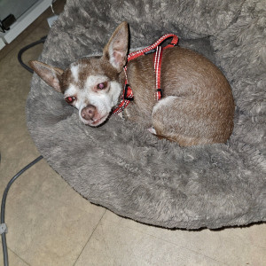 Photo de galerie - Juna trop mignonne et adorable 