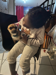 Photo de galerie - Garde d’enfants et d’un petit chien 