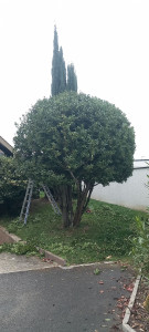 Photo de galerie - Jardinier