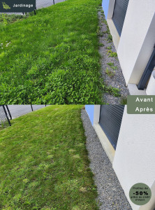 Photo de galerie - Désherbage et tonte