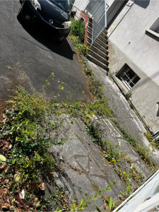 Photo de galerie - Avant désherbage