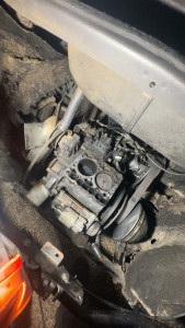 Photo de galerie - .