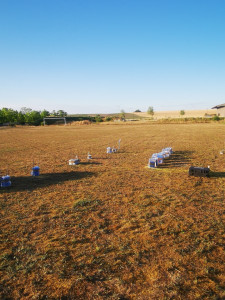 Photo de galerie - Animateur 