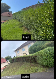 Photo de galerie - Taille de haies et d'arbustes