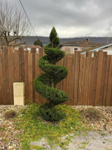 Photo de galerie - Taille d'arbustes
