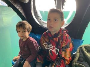 Photo de galerie - Visite proposée à des enfants ( garde de jour): aquascope 