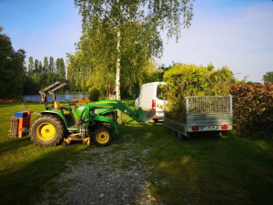 Photo de galerie - Plantation de troènes suite à un terrassement