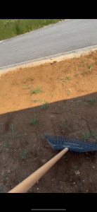 Photo de galerie - Râtelage, retirer le gros des cailloux en surface 