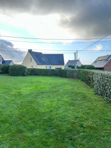 Photo de galerie - Taille de haie 