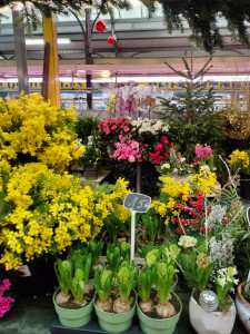 Photo de galerie - Jardinier