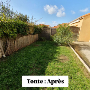 Photo de galerie - Tonte de pelouse