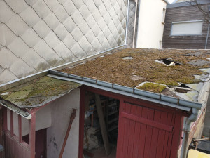 Photo de galerie - Couverture - Toiture