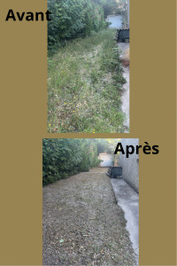 Photo de galerie - Tonte de pelouse - Débroussaillage