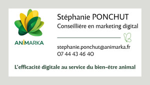 Photo de galerie - Carte de visite