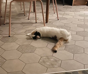 Photo de galerie - Visite à domicile 