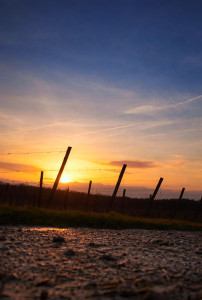Photo de galerie - Ma conjointe est plutôt douée en Photographie ( automobile, paysage, moto ) 