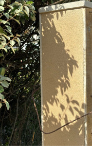 Photo de galerie - Maçonnerie