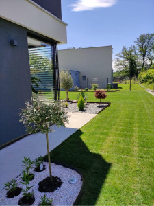 Photo de galerie - Paysagiste - Aménagement du jardin