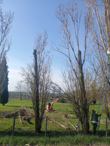 Photo de galerie - Terrassement - Assainissement