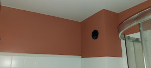 Photo de galerie - Murs plafond sdb