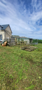 Photo de galerie - Tonte de pelouse - Débroussaillage