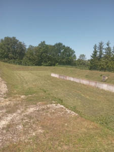 Photo de galerie - Tonte de pelouse - Débroussaillage