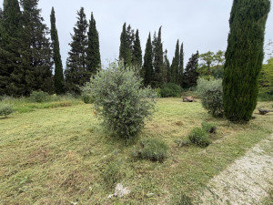 Photo de galerie - Après 