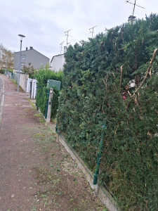 Photo de galerie - Renard bâti multi espace vert taille de haie 