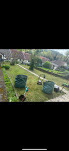 Photo de galerie - Gazon + coupe bordure + mauvaise herbe chez un client très satisfait? 