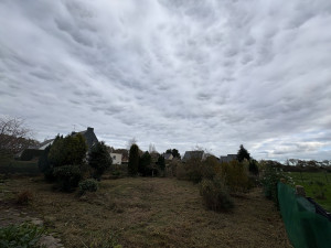 Photo de galerie - Remise en état 