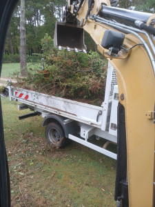 Photo de galerie - Terrassement et évacuation des anciennes haies, bien vieliissantes.! 