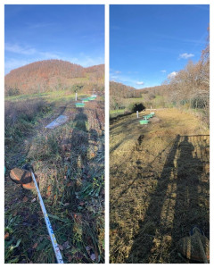 Photo de galerie - Débroussaillage d’une station d’épuration 