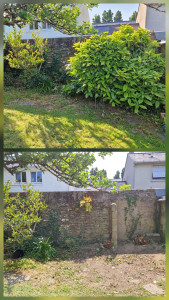 Photo de galerie - Le client souhaitait gagner de la place